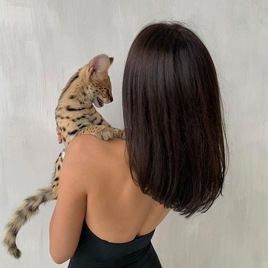 Short Bob Brown FEDERICA/ Influencer