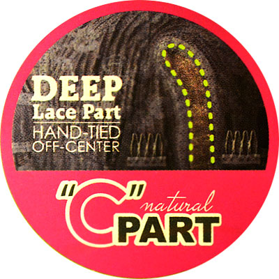 Zury Sis Invisible Top Part Lace Front Wig IV LACE H TORY