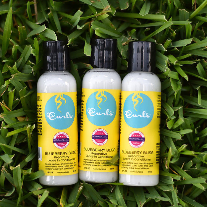 Curls Blueberry Bliss Reparative Leave in Conditioner 2oz