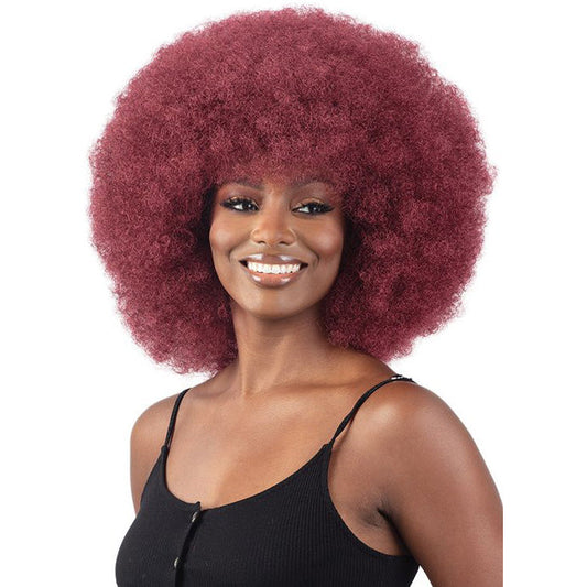 Freetress Equal Wig AFRO LARGE