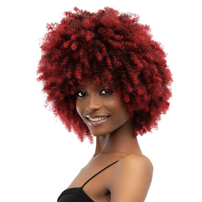 Janet Collection Natural Curly Full Wig - NATURAL AFRO KANE