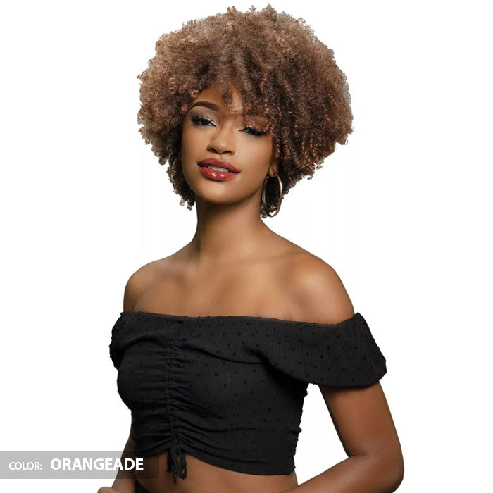 Janet Collection Natural Curly Full Wig - NATURAL AFRO PLES