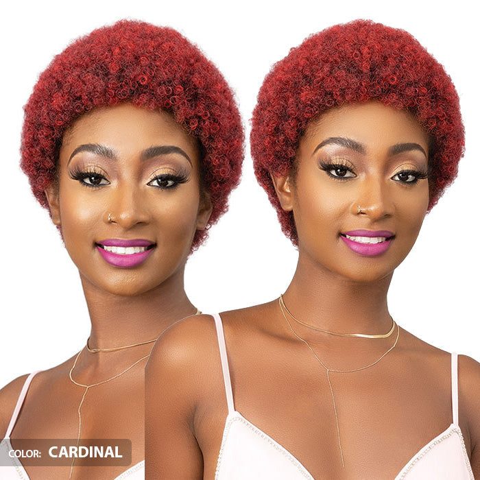 Janet Collection Natural Curly Full Wig - AFRO ABBO