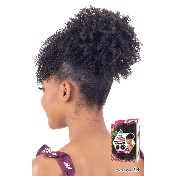 Equal by Shake N Go Pony Pop Bang & Ponytail 2Pcs - COILY