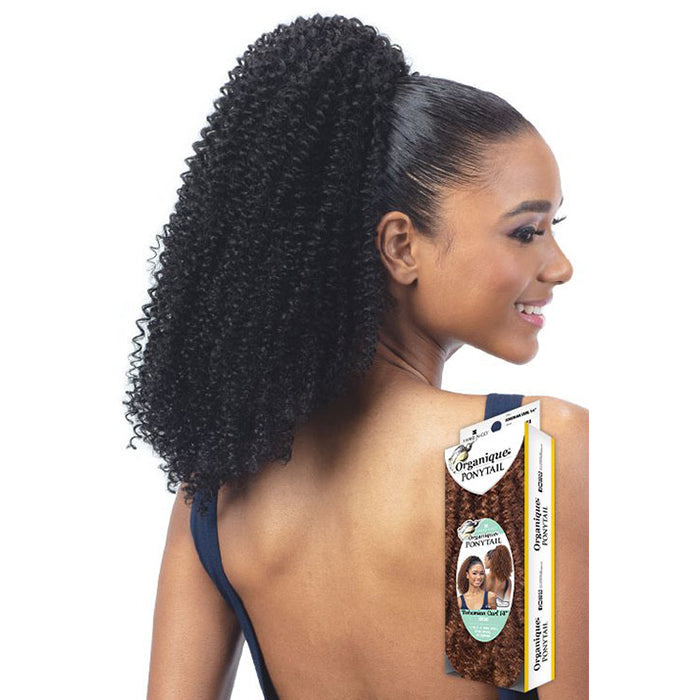 Shake N Go Organique Ponytail - BOHEMIAN CURL 14"