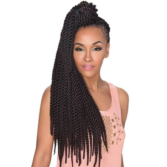 Zury Sis Bulk & Braid HAVANA TWIST 24 Inch
